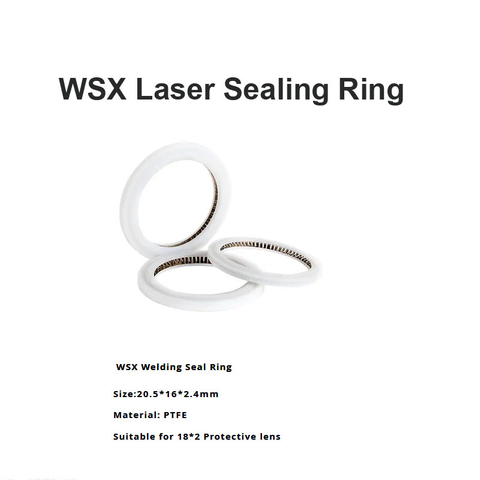 WSX Laser Sealing Ring D20.5