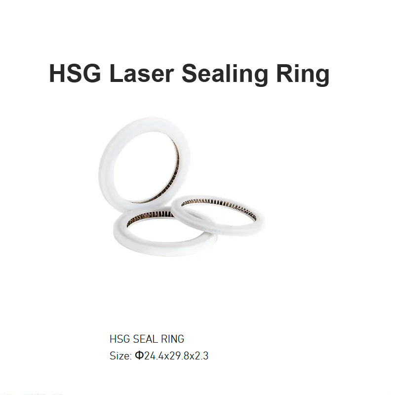 HSG Laser Sealing Ring D24.4
