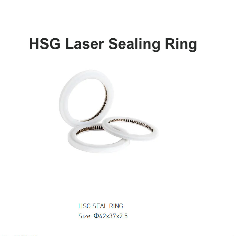 HSG Laser Sealing Ring D42