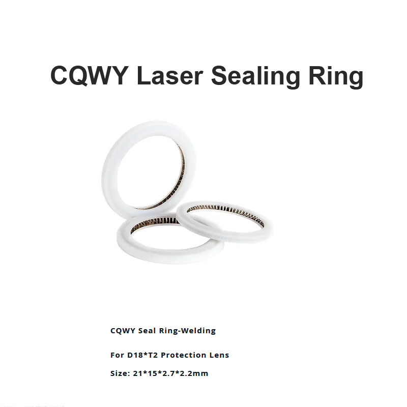 Vòng đệm kín bằng laser CQWY D21