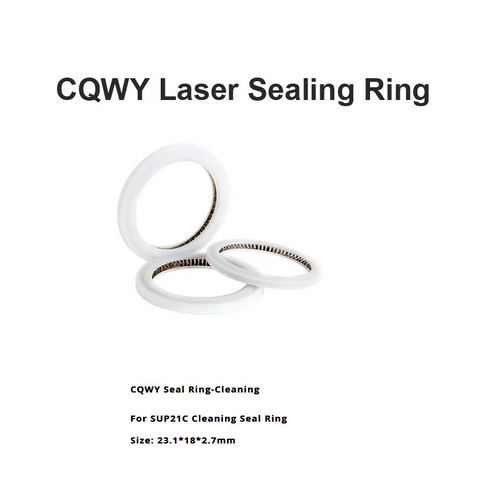 CQWY Laser Sealing Ring D23.1