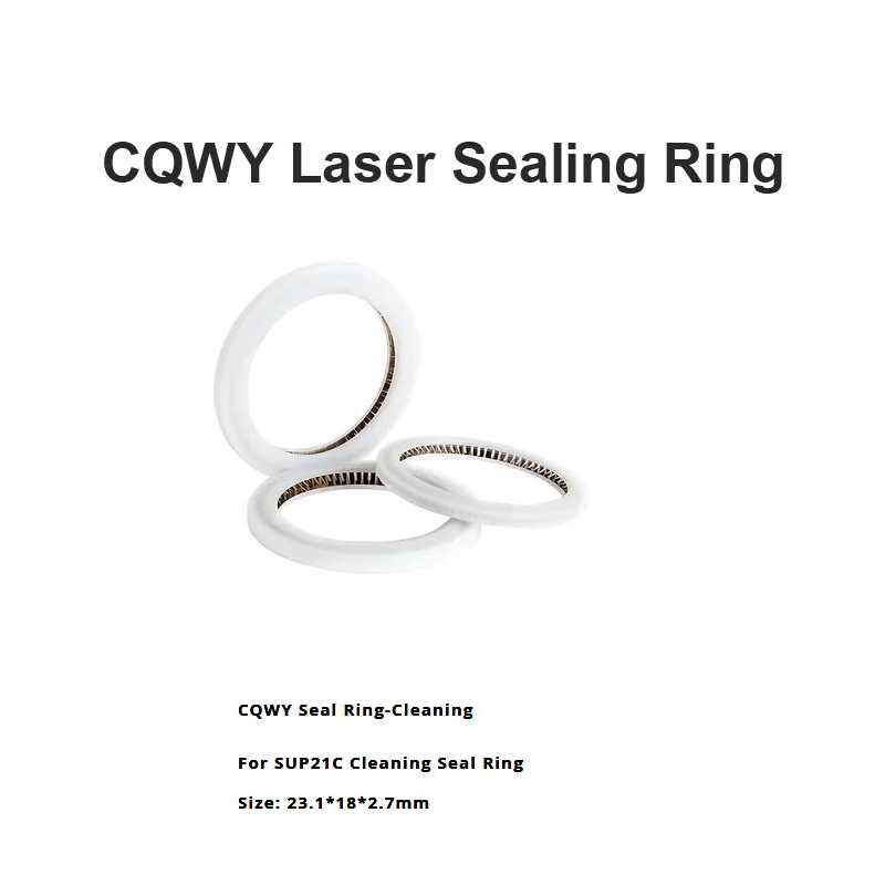CQWY Laser Sealing Ring D23.1