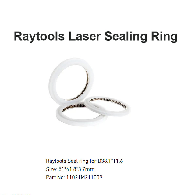 Vòng đệm kín bằng laser Raytools D51