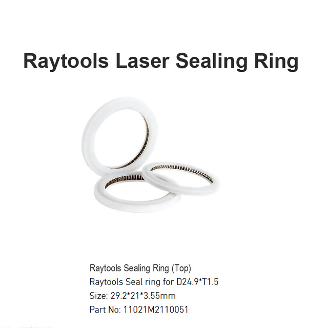 Vòng đệm kín bằng laser Raytools D29.2